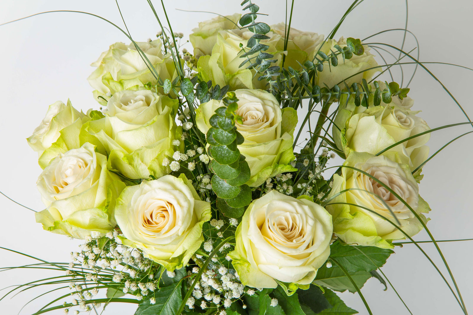Kytica bielych ruží The White Rose detail