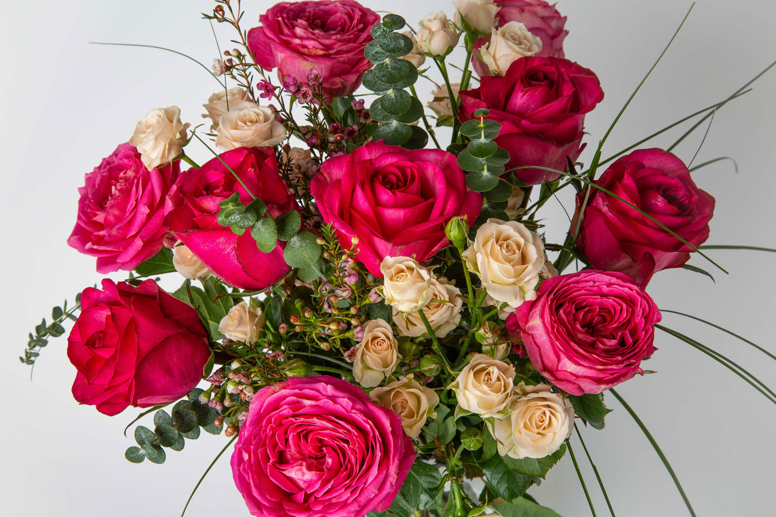Kytica ružových ruží The Pink Rose detail