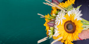 Kytica so slnečnicami